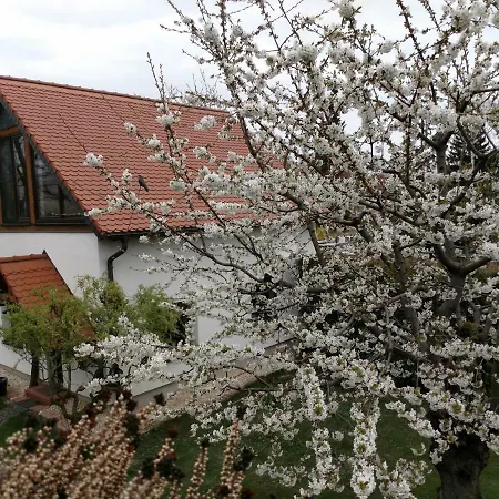 Zur Alten Fahrschule Erfurt