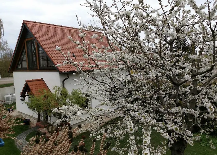 Zur Alten Fahrschule Erfurt
